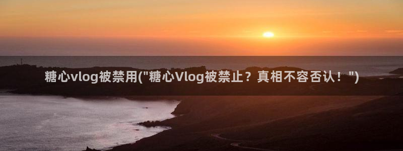 糖心姐姐的vlog:糖心vlog被禁用(