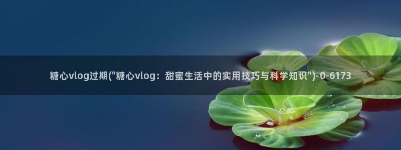 糖心vlog污下载:糖心vlog过期(\
