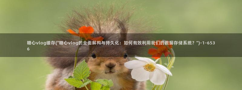 糖心vlog安装不了:糖心vlog缓存(