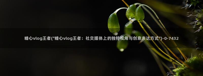 正能量糖心vlog:糖心vlog王者(\